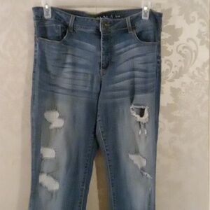 Hannah Distressed Stretchy Jeans 14